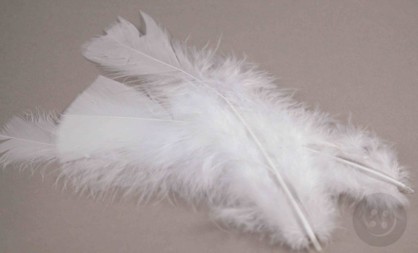 Přírodní peříčko - bílá - délka 11 cm - 17 cm