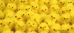 Easter chicken decoration - yellow - height 4 cm