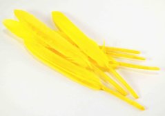 Prírodné husacie pierko 9 cm - 14 cm - žltá