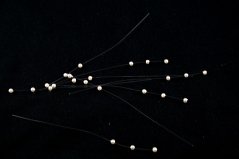 Pearl beads threaded on a silicone cord - pearl - diameter 0.3 cm - length 9,5 cm