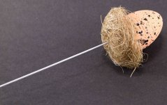 Egg in a nest on white wire - gray, orange, brown