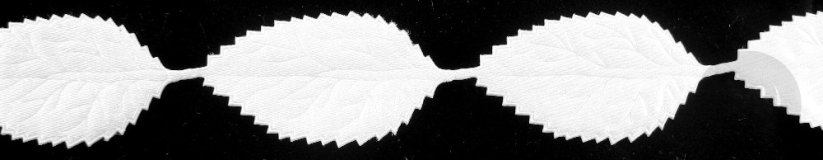 Galónový prámik - lesklá biela - šírka 2,8 cm