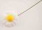 Daisy flower on a wire - 7 cm