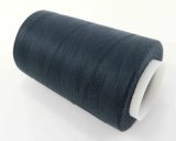 dark gray blue 194010