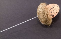 Ei in einem Nest auf weißem Draht - grau, orange, braun