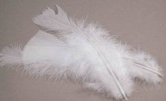 Přírodní peříčko - bílá - délka 11 cm - 17 cm