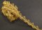 Leon-Zopf - Gold - Breite 2 cm