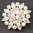 Decorative clothing brooches