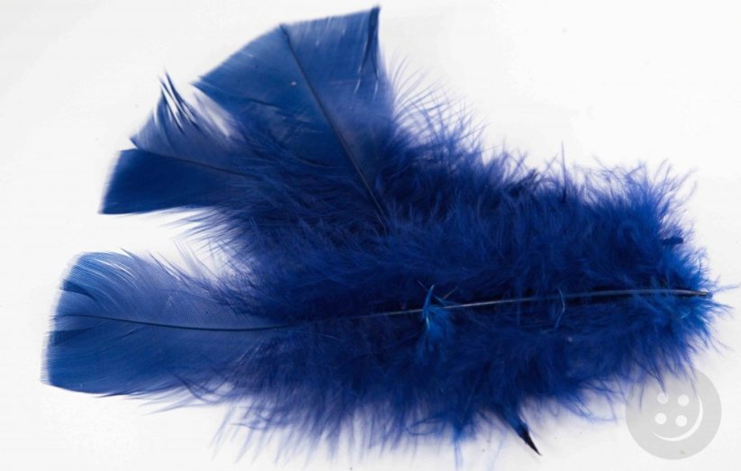 Prírodné pierko - kráľovská modrá - dĺžka 11 cm - 17 cm