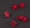 Kinderknopf - rote Blume - transparent - Durchmesser 1,3 cm