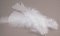 Přírodní peříčko - bílá - délka 11 cm - 17 cm
