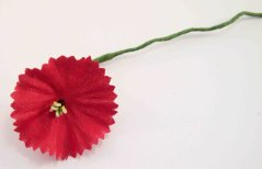 Poppy flower - red - dimensions 8 cm x 3.5 cm