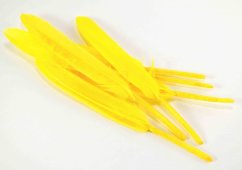 Goose feather - yellow - length 9 cm - 14 cm