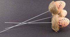 Egg in a nest on white wire - gray, orange, brown