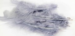 Turkey feather - gray - length 11 cm - 17 cm