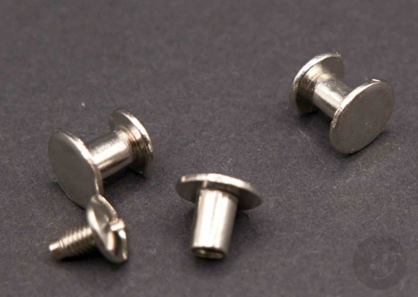 Screw rivet - silver - for material thickness 5 mm