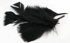 Přírodní peříčko - černá - délka 11 cm - 17 cm