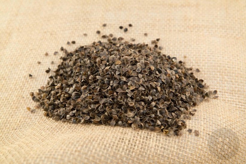 BIO pohankové výplňové slupky 5 kg