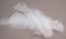 Turkey feather - white - length 11 cm - 17 cm